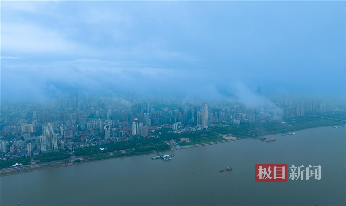 玩飞禽走兽